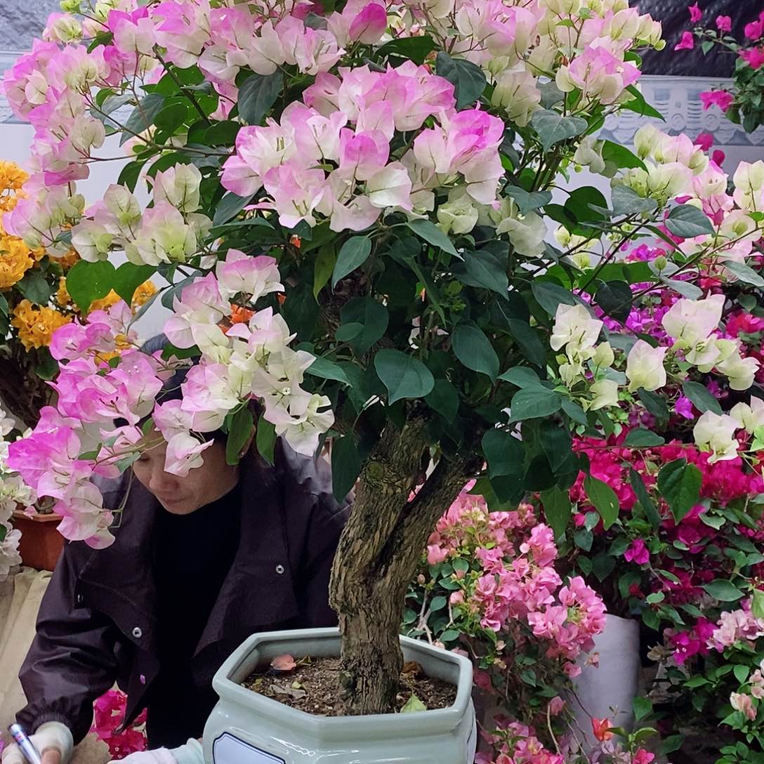 完全开放我要好好学习