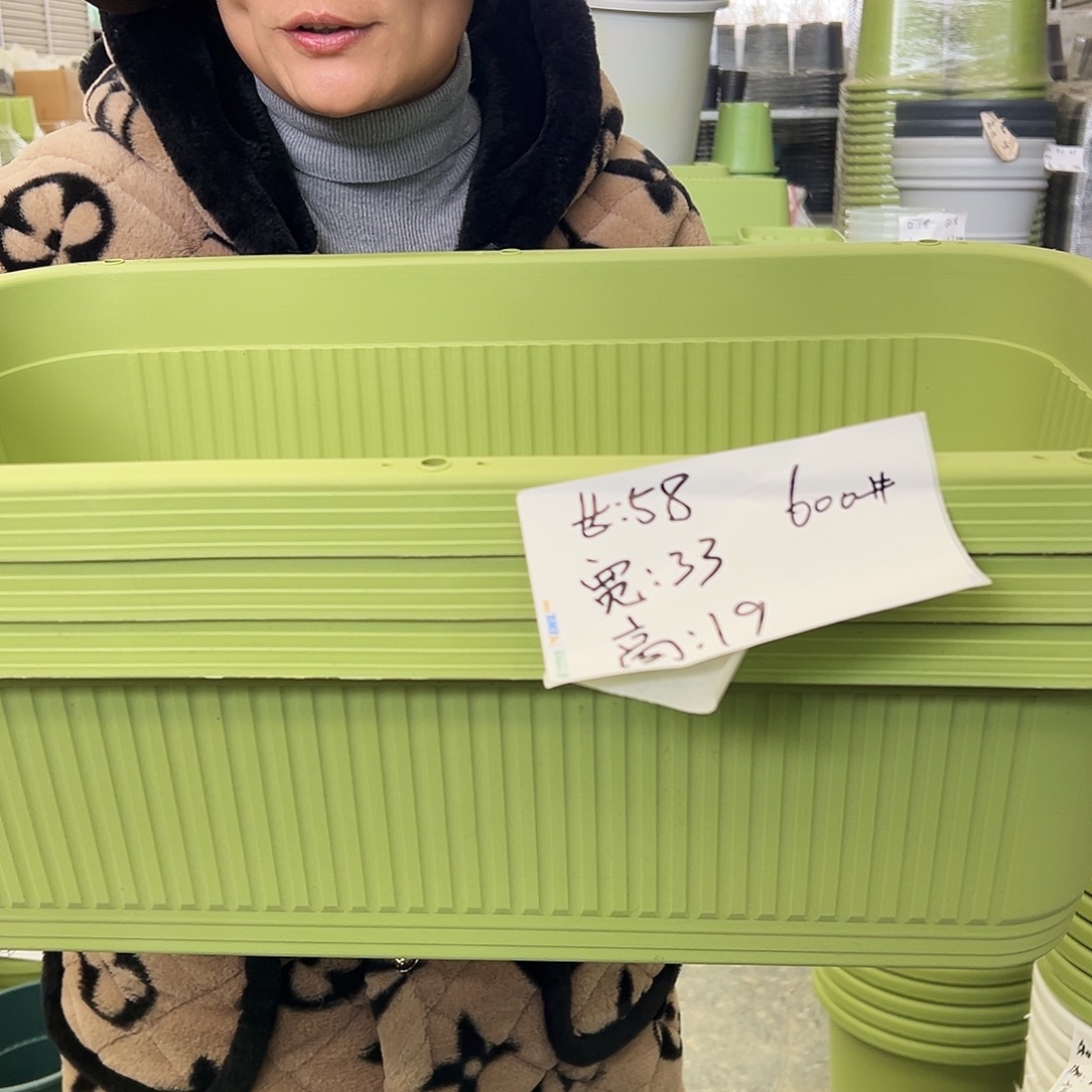 瑕疵菜盆600#果绿色3个无托