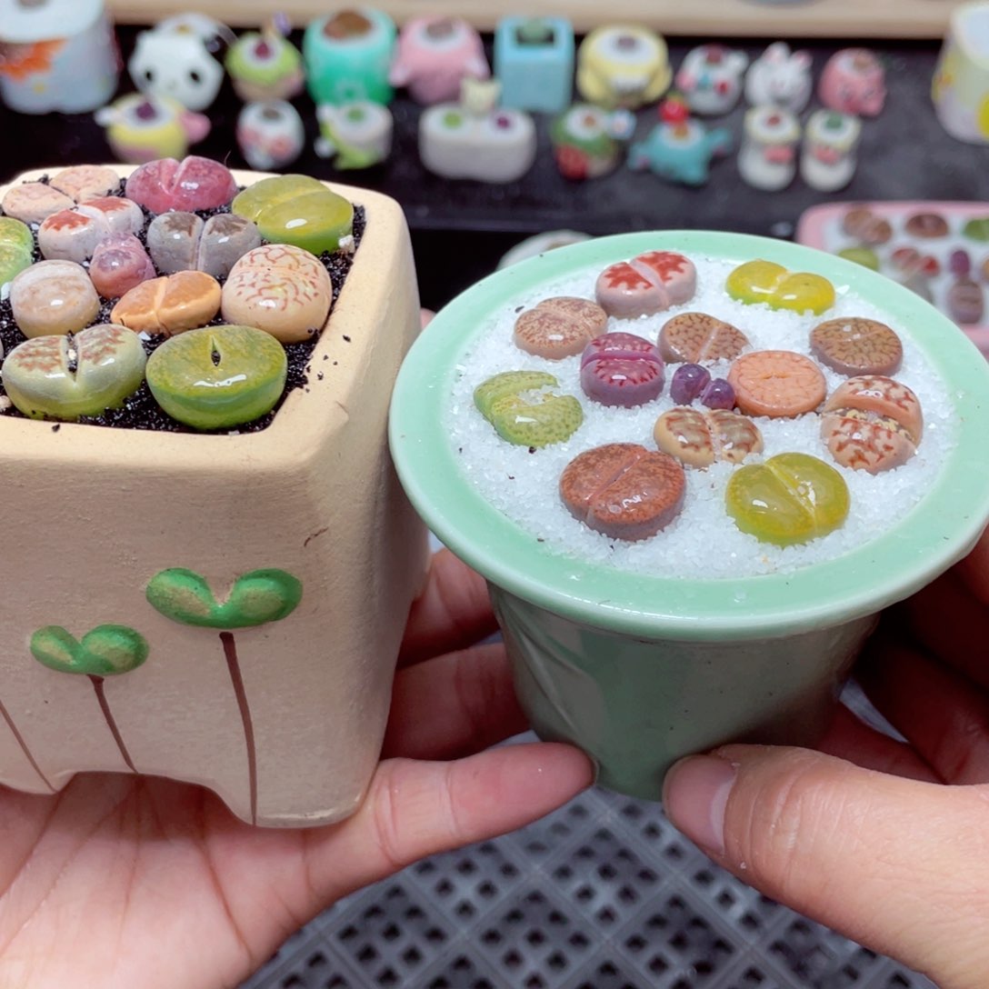 w2005 带盆土发货-零下地区拍保温箱