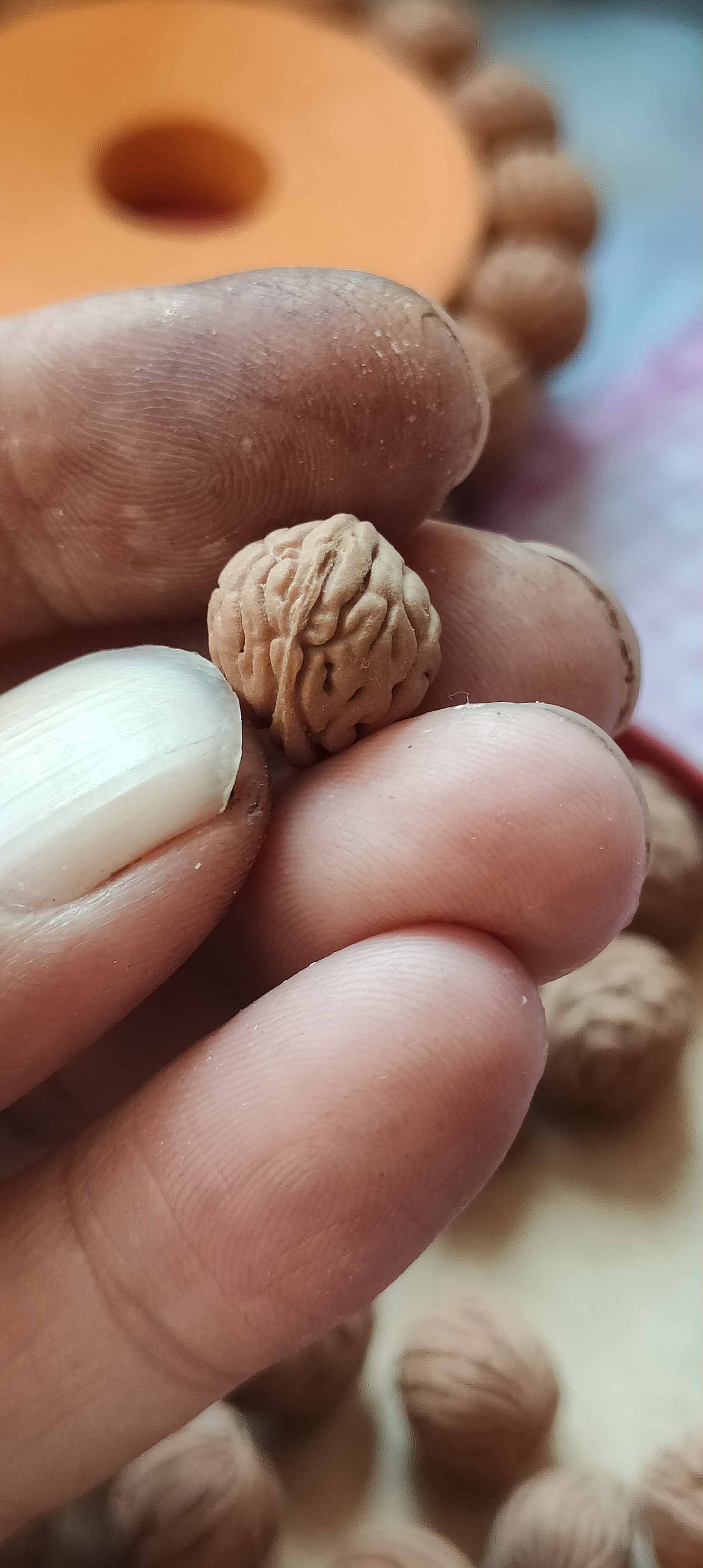 龙脑纹桃核散籽主力尺寸12/13左右，100颗一组108元