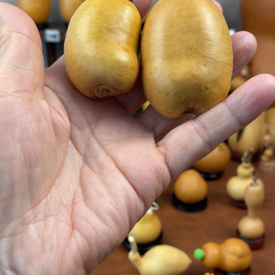 @***^葫芦哈哈哈哈哈哈哈哈