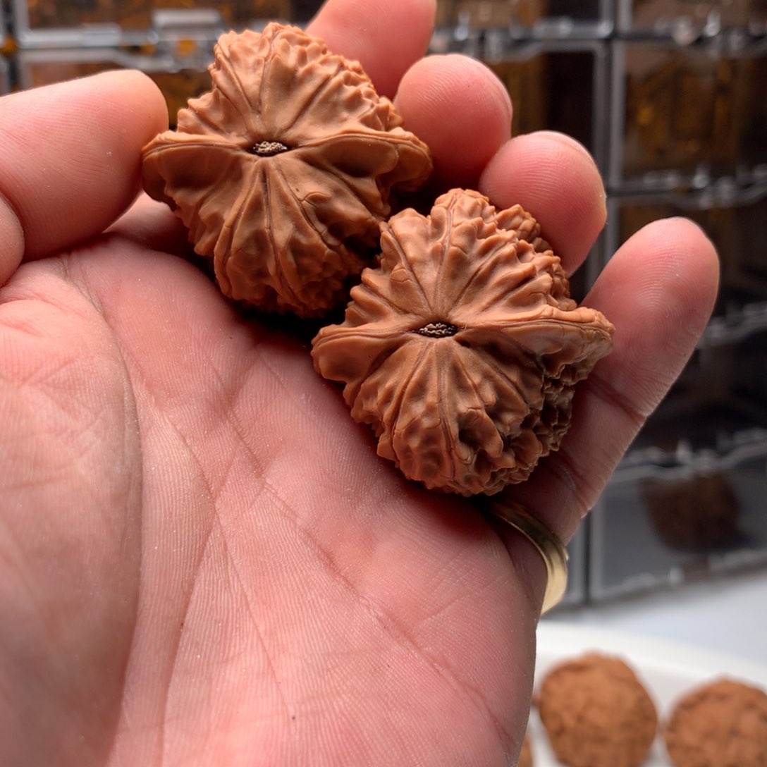 桃核把件不**哦马老四 666888