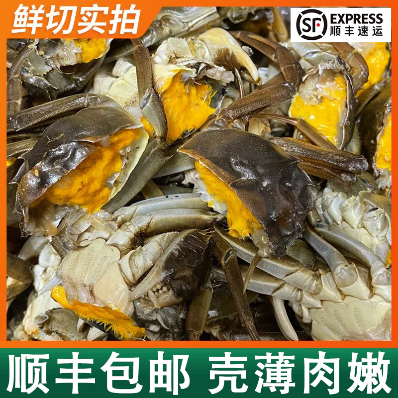 【活蟹】江苏河蟹 公蟹 1.4-1.1两/只*2只 顺丰次日达 不绑绳 送料包 活蟹