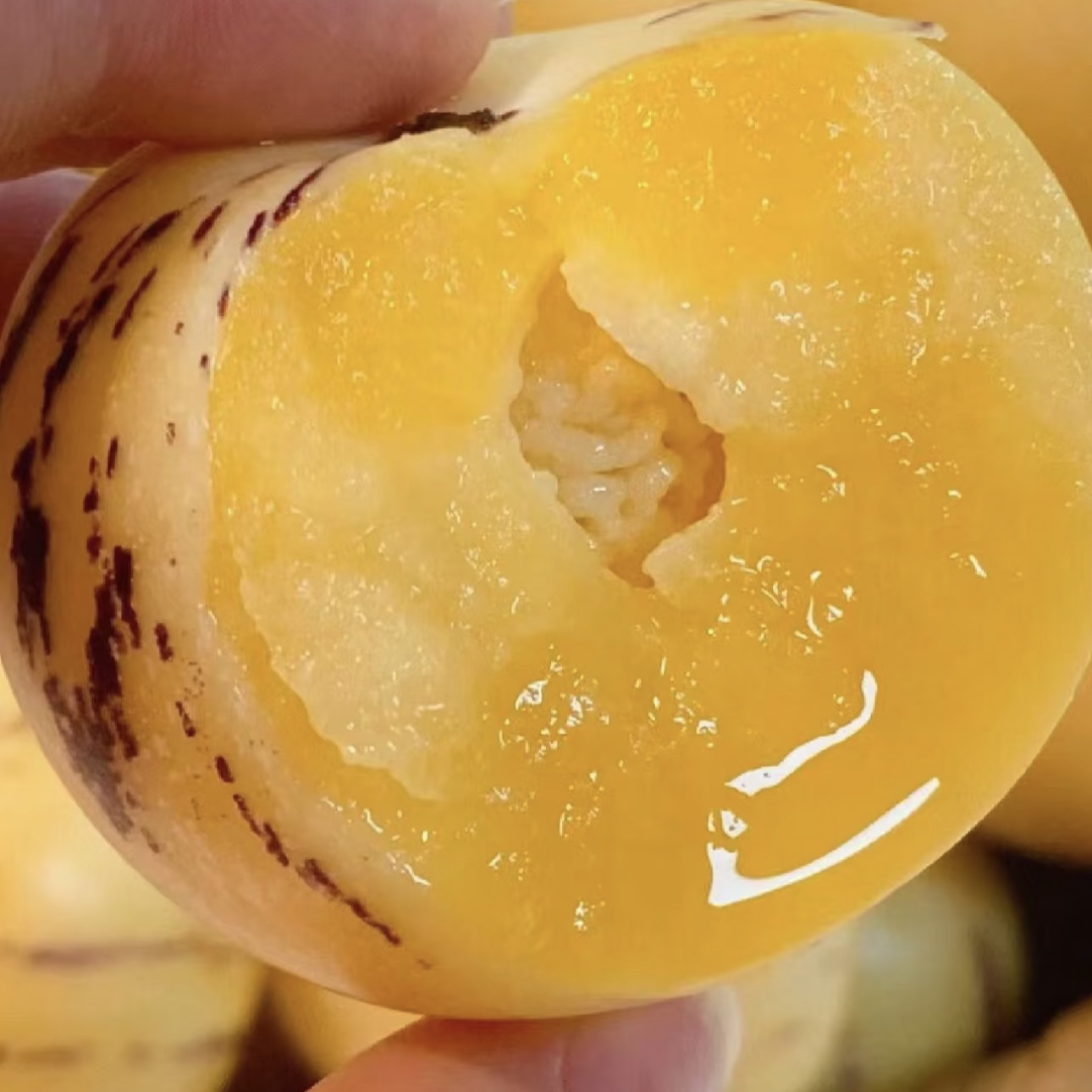 【小雨甄选】云南人参果树熟黄肉清甜多汁 净重2.5斤 顺丰包邮