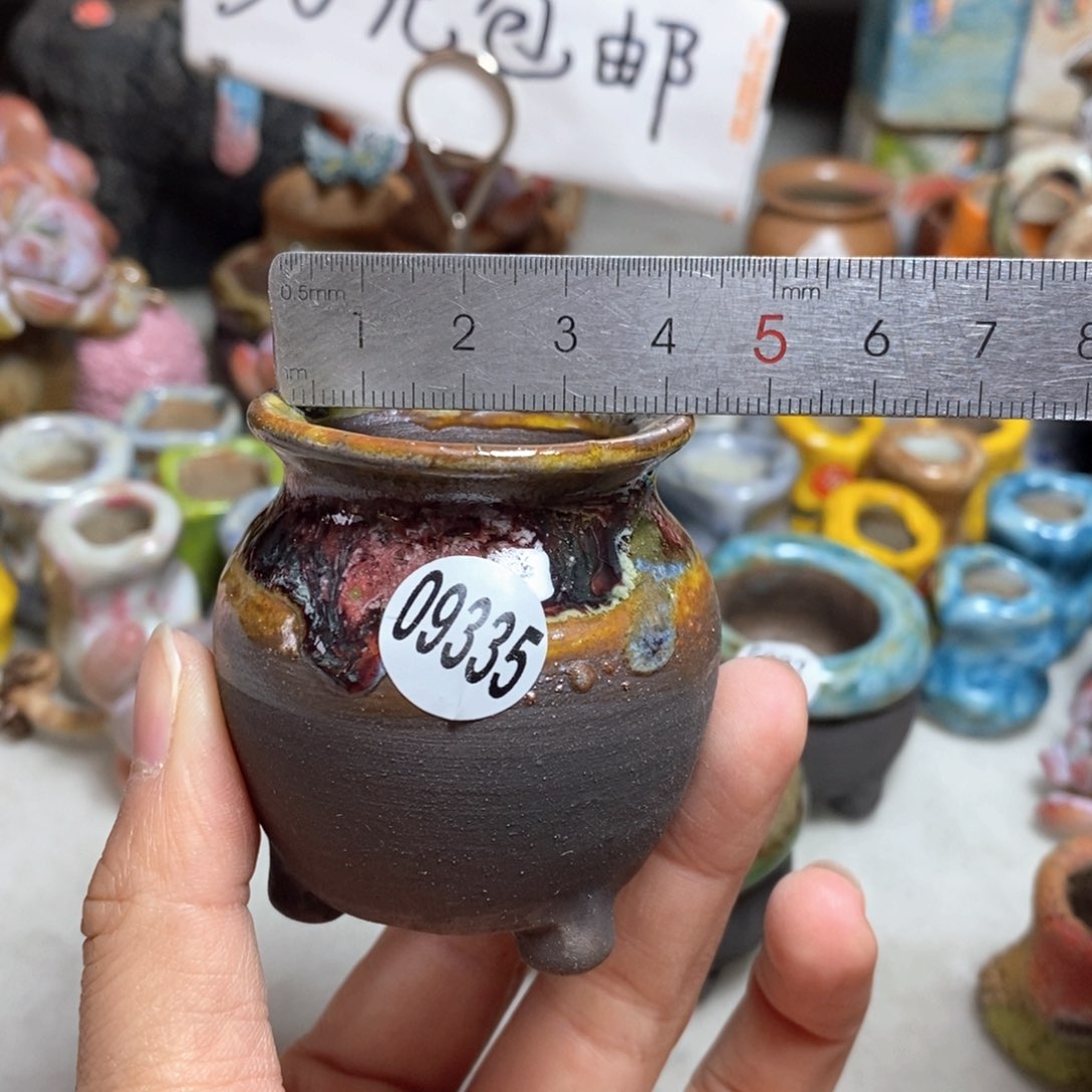 拍5送一个小礼物