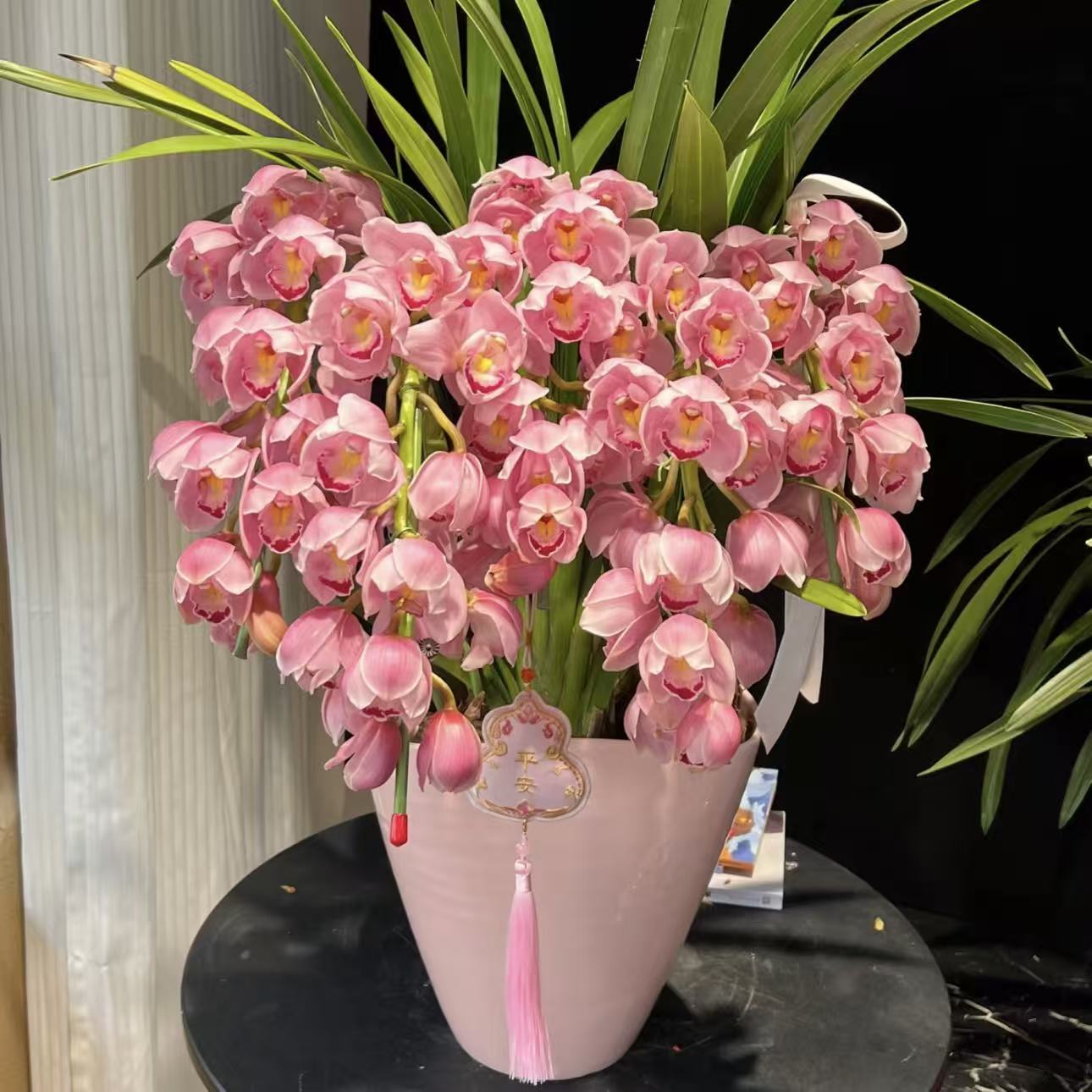 福娘粉色大花蕙兰拱兰盆栽带花办公室客厅摆件室内惠兰年宵花送礼