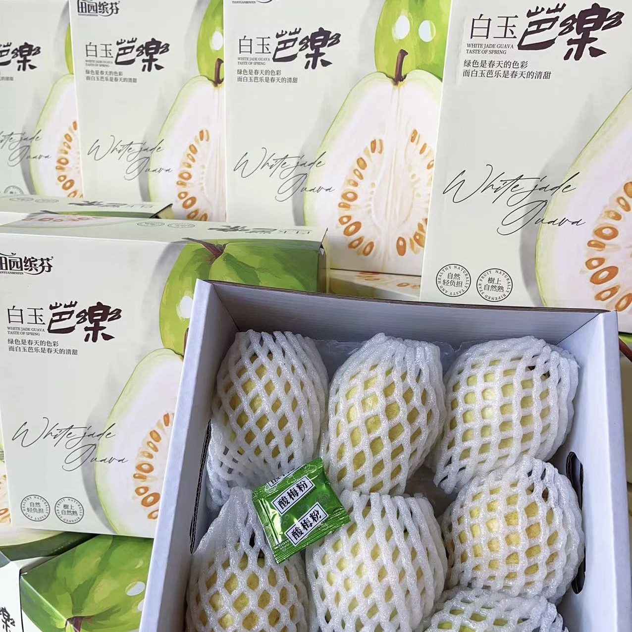 田园缤芬 树熟奶油芭乐 净重3斤左右 5-8颗