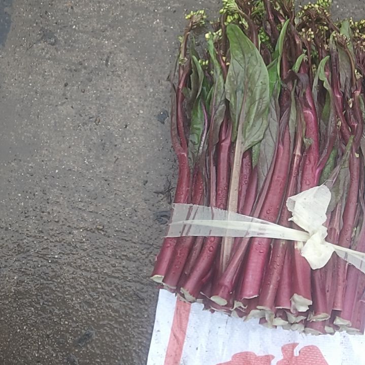 中国大陆湖北特产红菜苔