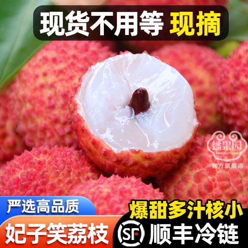 【京东.顺丰冷链】现货海南妃子笑荔枝新鲜现摘水果孕妇当季礼盒装