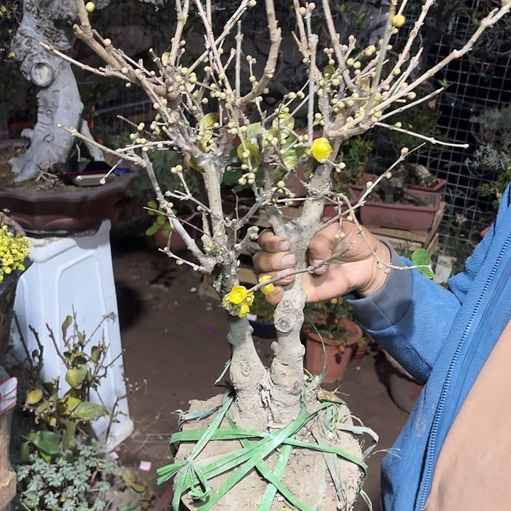 雷***林无花朵哈哈哈哈哈哈