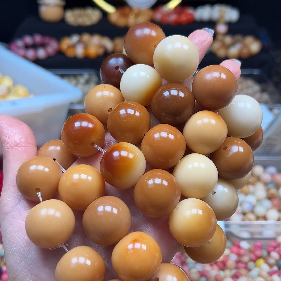 土***豆手串菩提根/象牙果通货5条