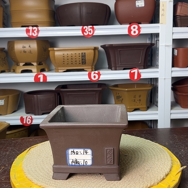 紫砂花盆你在一起