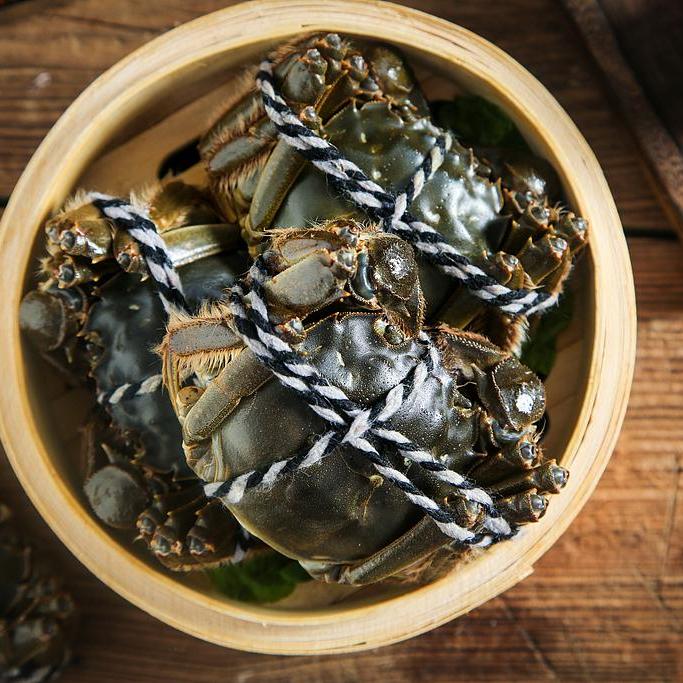 【活蟹】大闸蟹阳澄金标5.0-4.7两母蟹 拍6只送2只 到手8只【死蟹包赔】顺丰京东空运 江苏产地直发