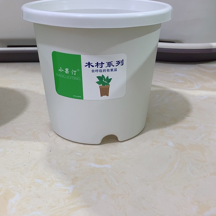 小果汀15口白10个无托