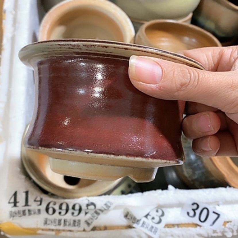 【闪购商品】红陶口9.5