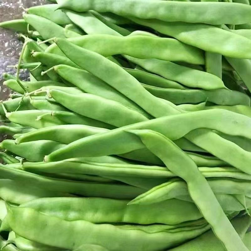 【众旺农场】扁豆角 豆角 新鲜采摘 3斤装 不泡药水 顺丰包邮