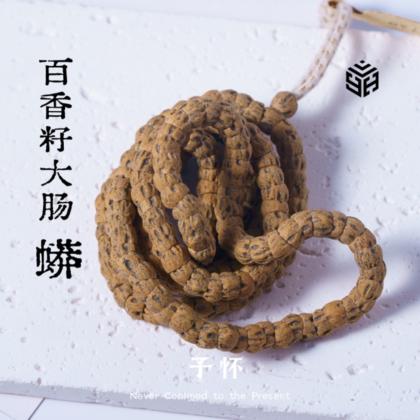 【蟒·斜切】百香籽斜切大肠热振·柏香籽文玩手串白芽口长串