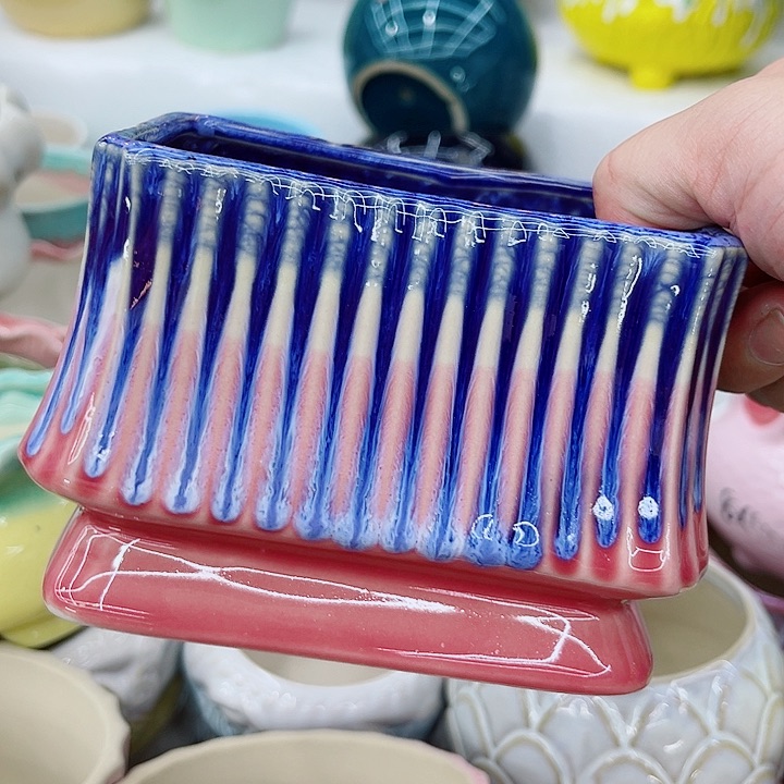 福利盆，9.99包邮，有空