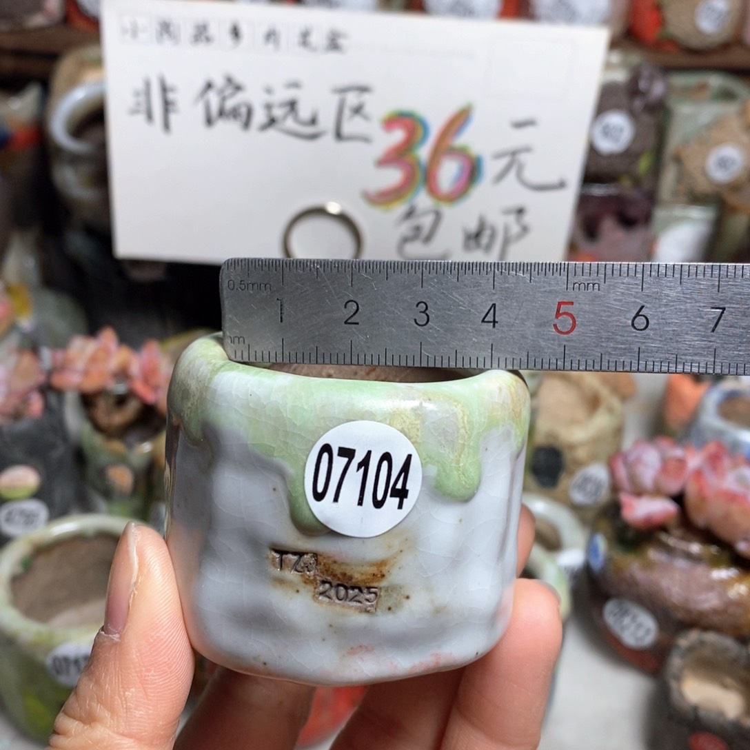 花盆拍3送一个小礼物