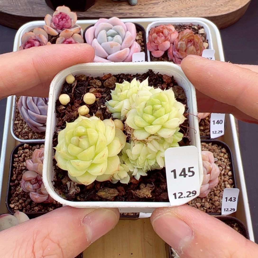 好好看145、哈哈哈哈