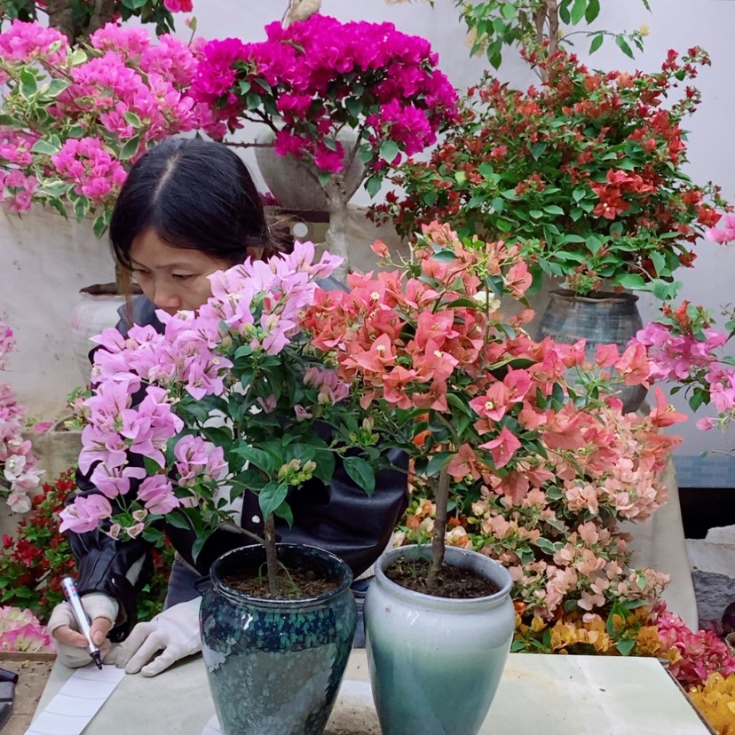 【闪购商品】完全开放