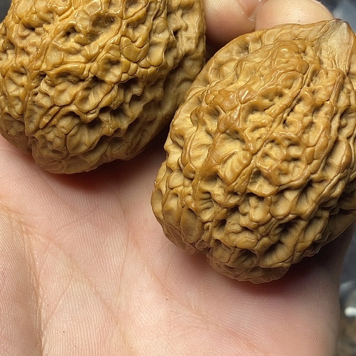 文玩核桃把件云南铁核桃95