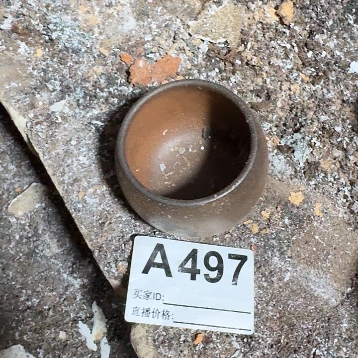 阿***伟茶壶紫砂坭兴陶柴烧