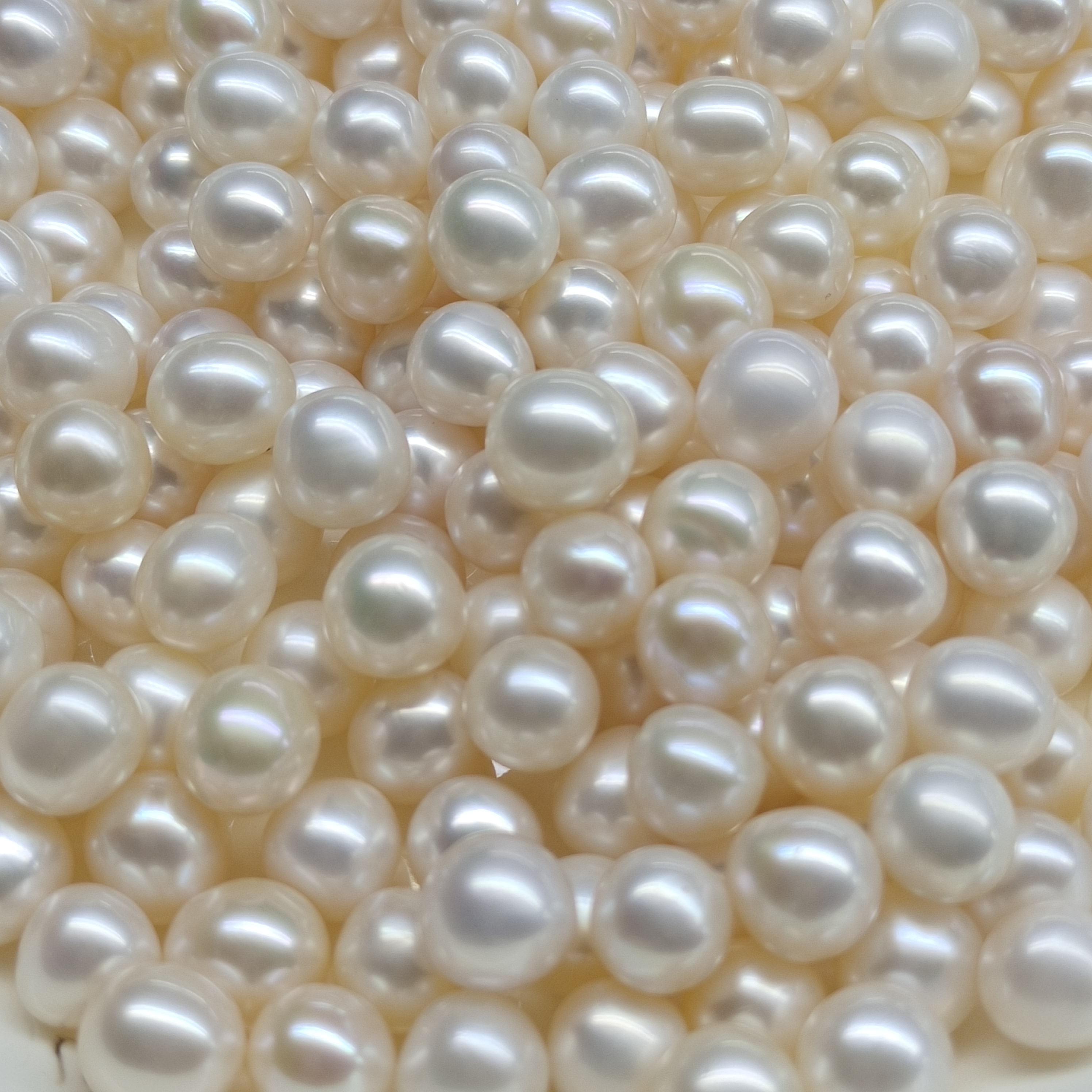 奶油单 (活体打开，不退不换)