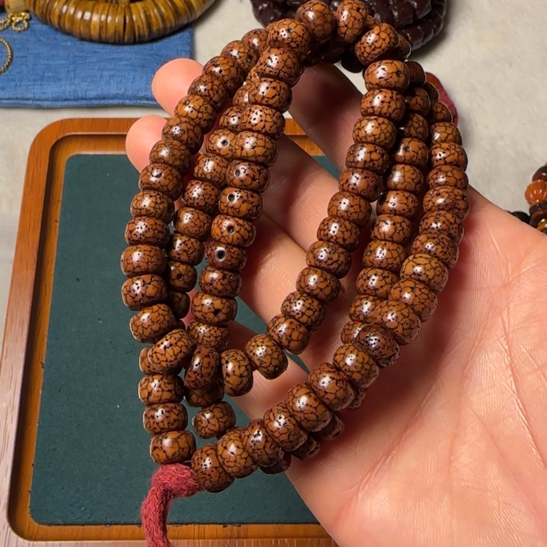 …………………………………………