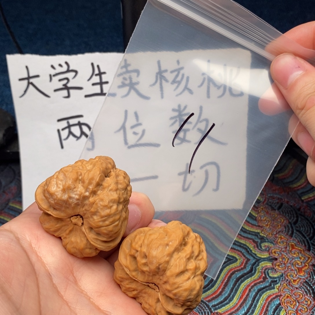 核桃哈哈哈哈哈哈哈哈哈哈哈