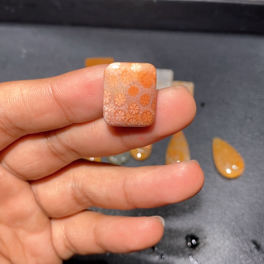 【闪购商品】硅化玉颈饰未镶嵌