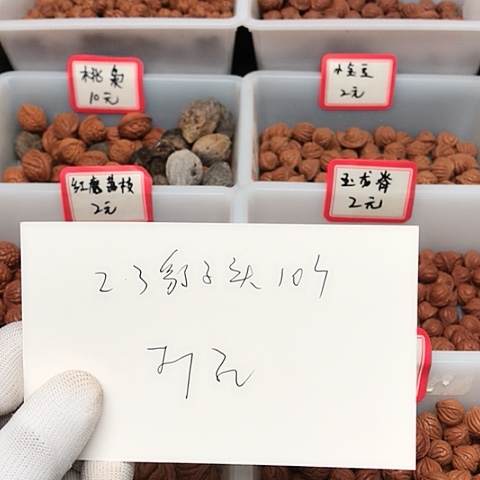 桃核吊坠8**8龙纹桃核的搭配