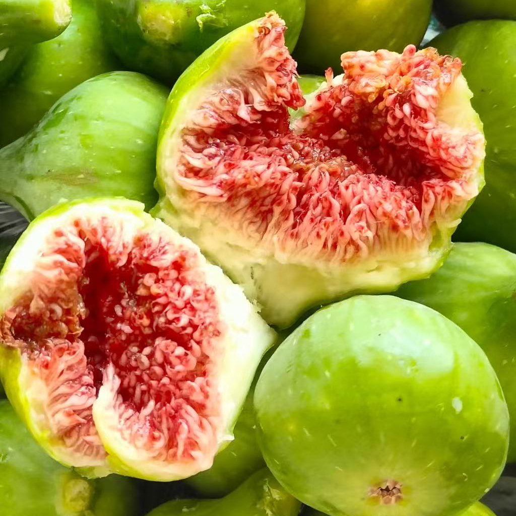 外地不发威海青皮无花果水果3斤装；只发北京外地不发