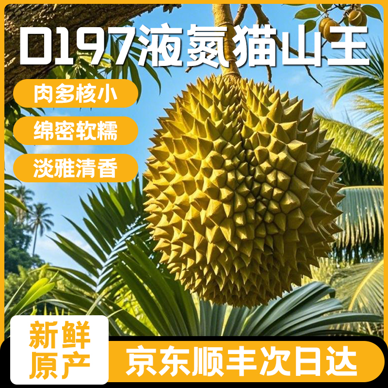 猫山王液氮榴莲 -1粒装猫山王马来西亚