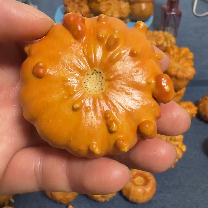 十***夫墨西哥七彩疙瘩葫芦