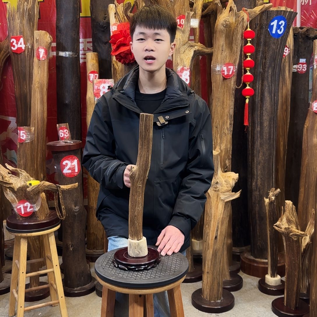 沉香摆件海南沉香