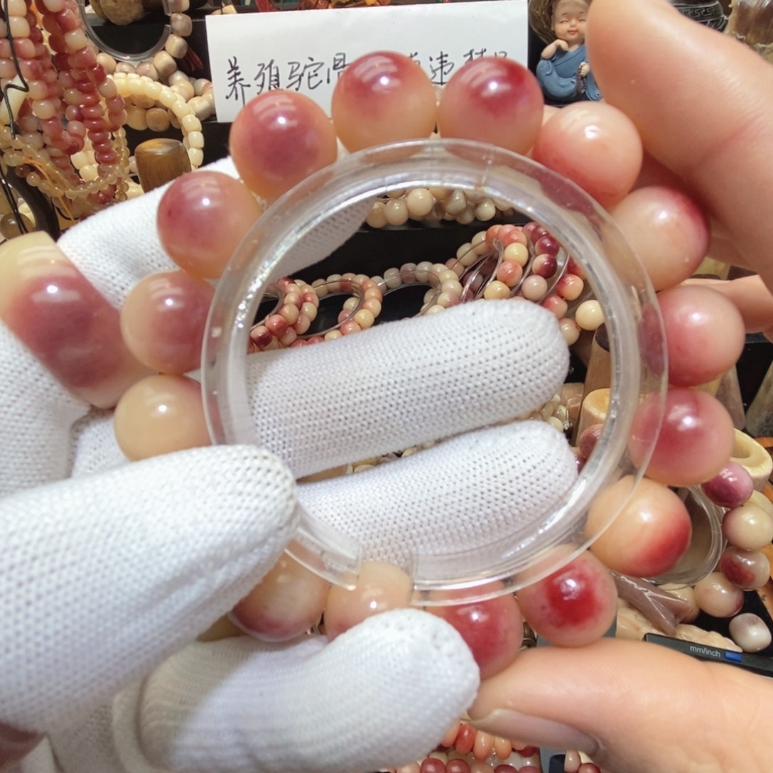 手串/手链驼骨圆珠14M