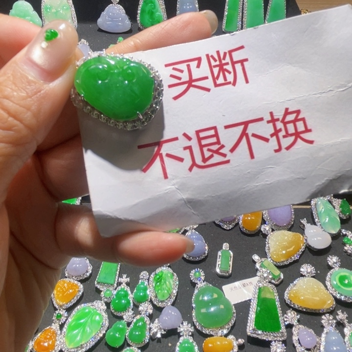 筱***坊翡翠银S925镶嵌颈饰