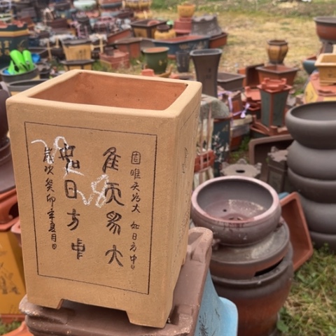 红陶紫砂花盆盆景盆栽