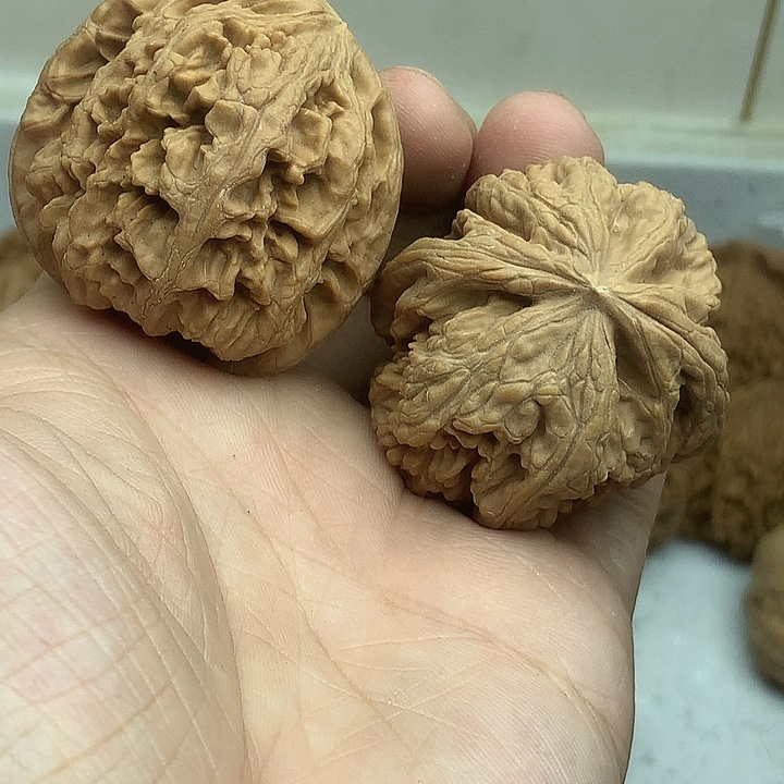 星***儿吊坠文玩核桃44粗筋座山雕50克小黄尖