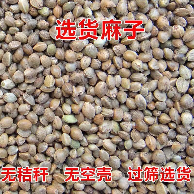 新货鹦鹉饲料火麻籽多种颗粒适用鸽子仓鼠玄风牡丹鸟粮