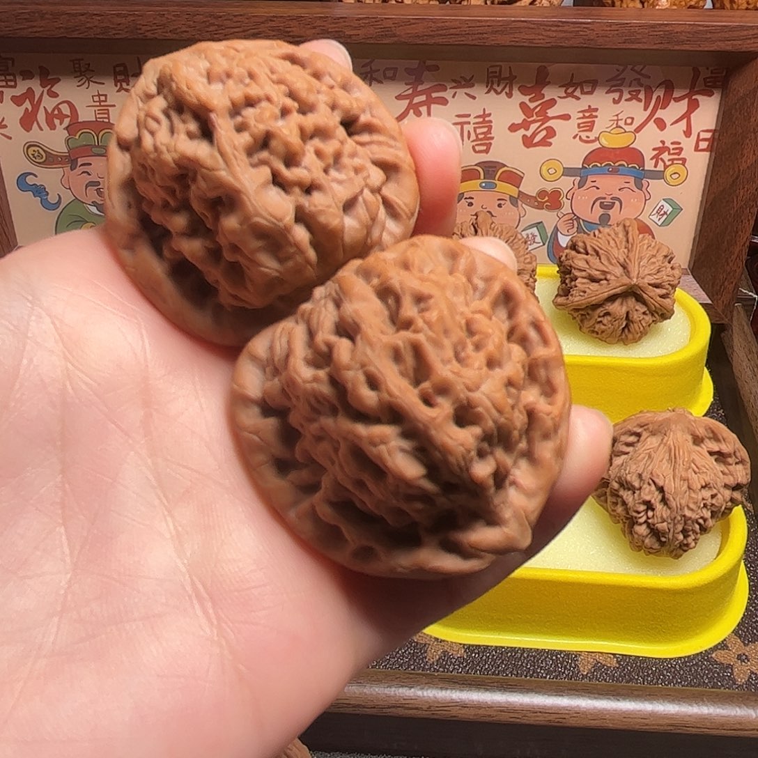 ****核桃全品金公子42