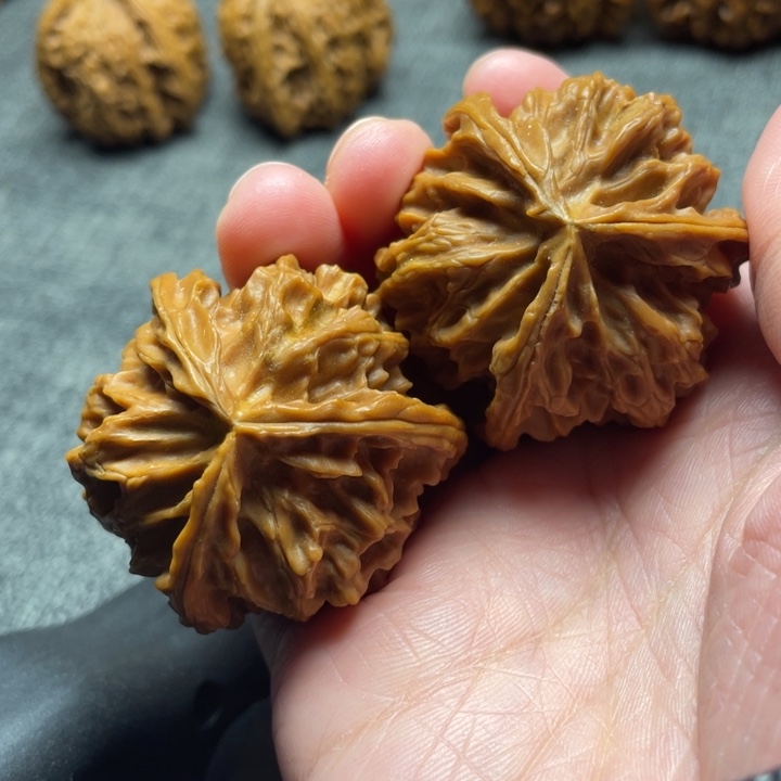 吃***葱手工三棱苹果园三棱