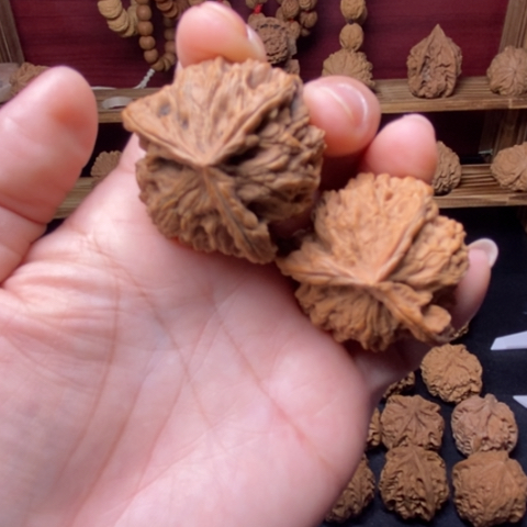 Y***Y把件文玩核桃核桃