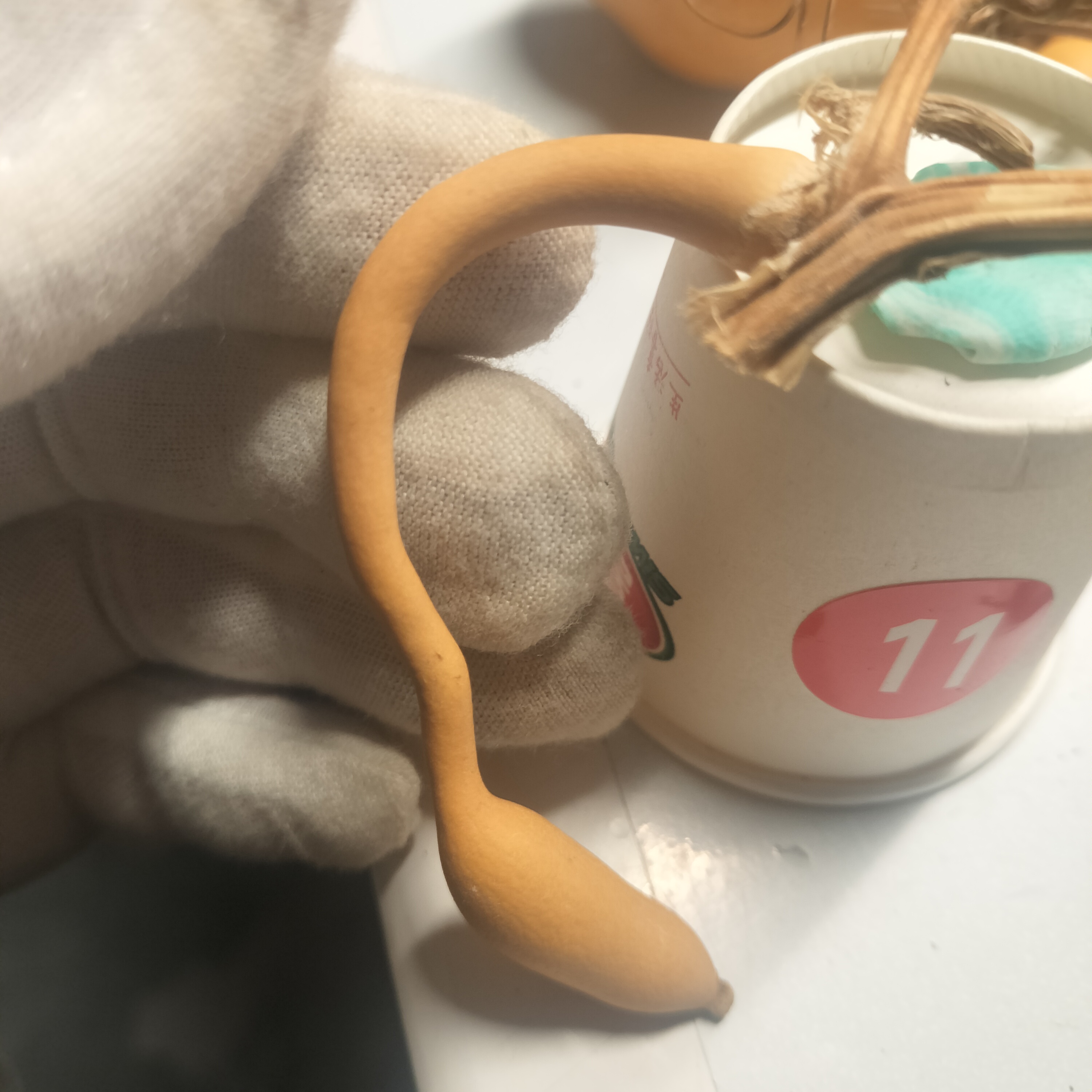 11号精品天然带龙头小葫芦文玩手把件摆件可盘玩