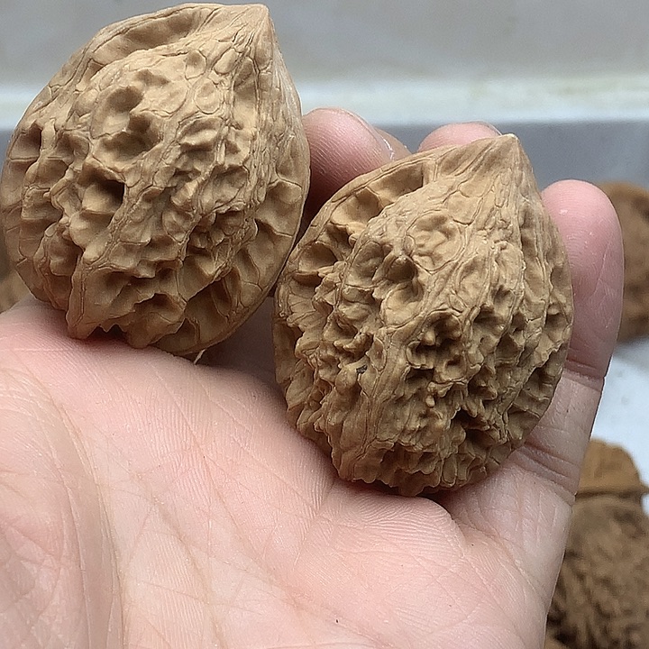 闲***玩文玩核桃吊坠大沽石