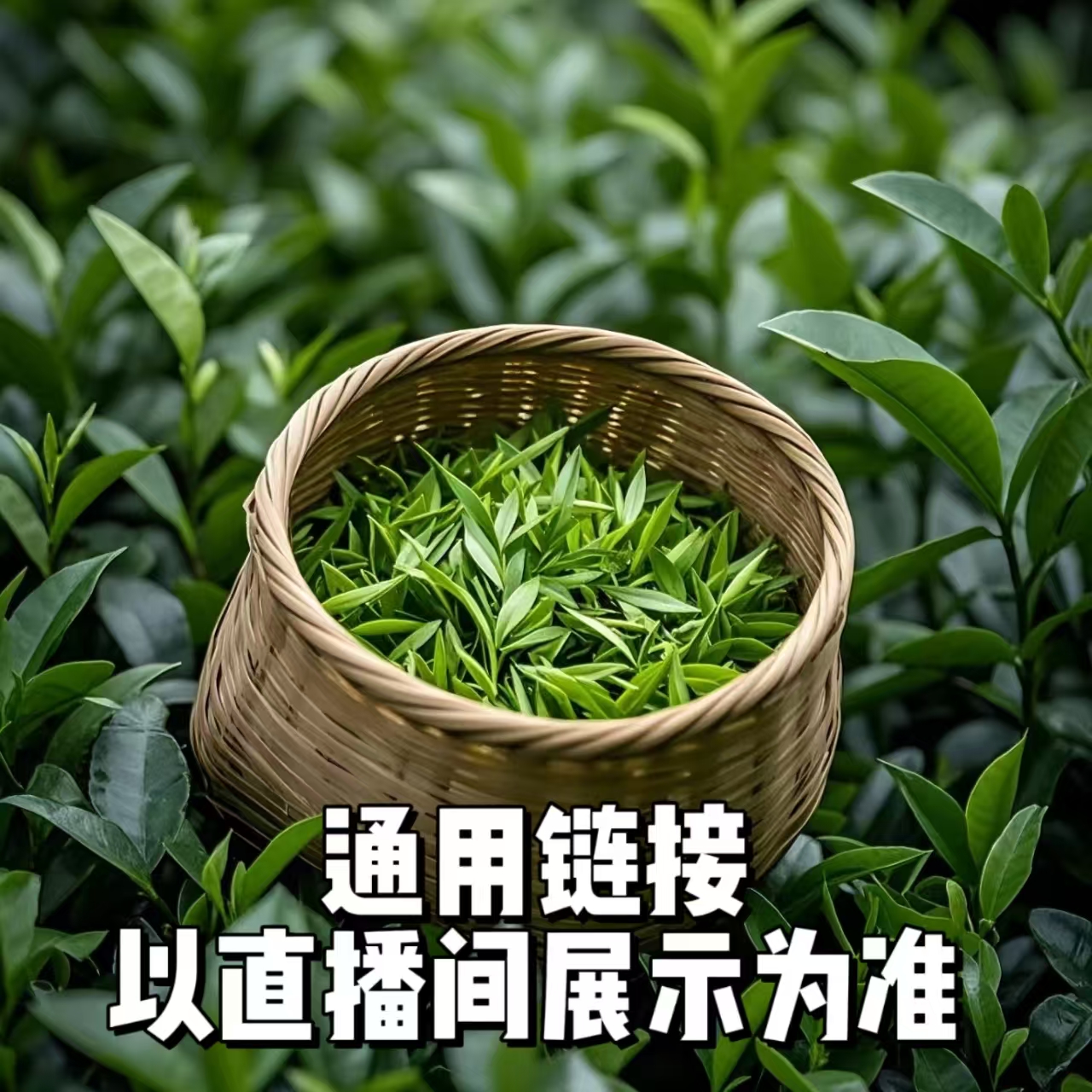 【海龙】2023年章珍古树普洱茶生茶散料100g