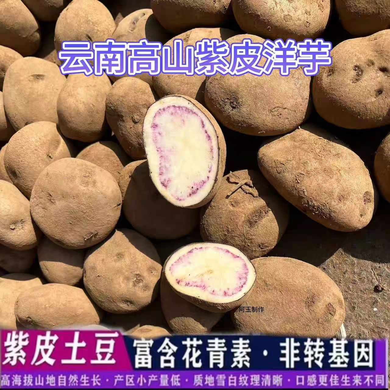 云南大山包小黑土豆昭通新鲜紫皮乌洋芋土豆马铃薯口感粉糯转转乌