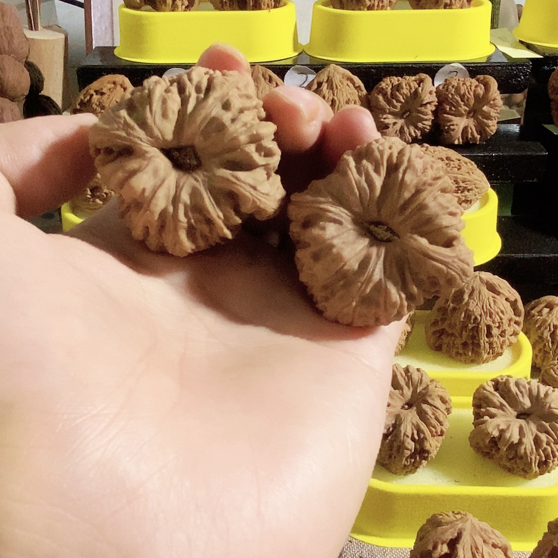 木质类今天是不是又