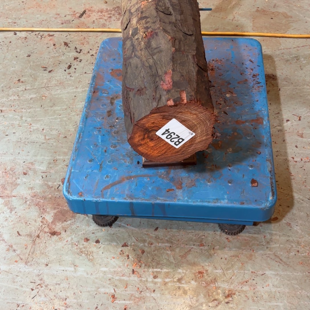 一物一拍血檀编码294紫砂